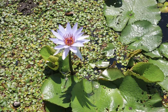 香港六合彩直播